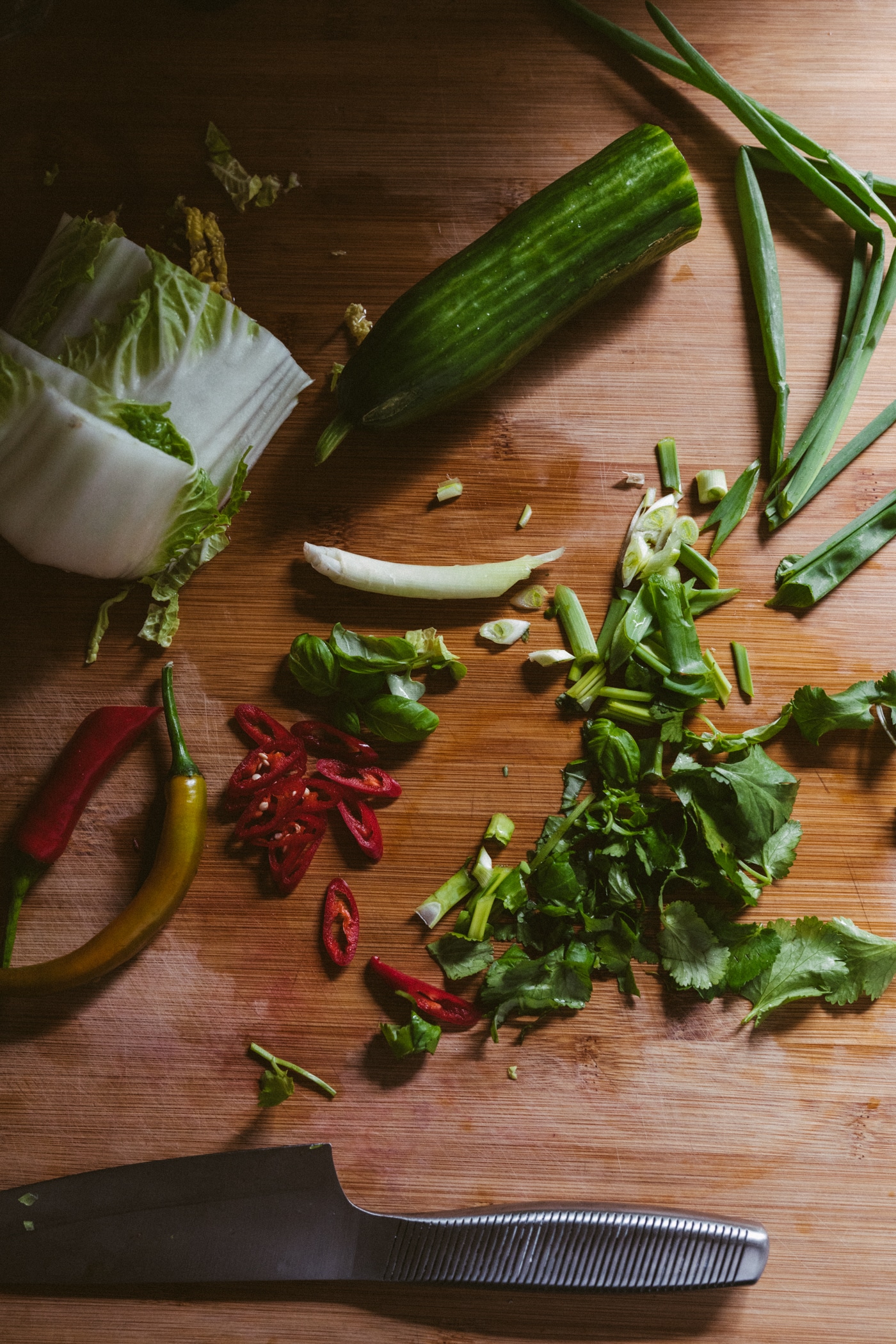 Simple Asian Salad With Beef