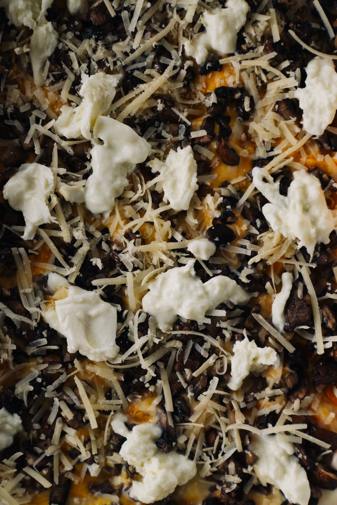 Pumpkin And Mushroom Lasagna