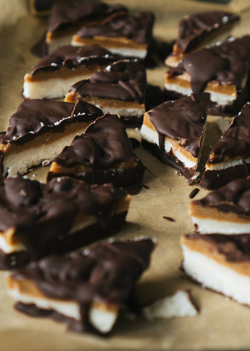 Coconut Peanut Butter Chocolate Bars